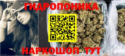 амф Гай