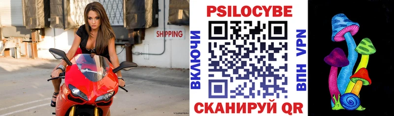 Псилоцибиновые грибы мицелий  Анапа 