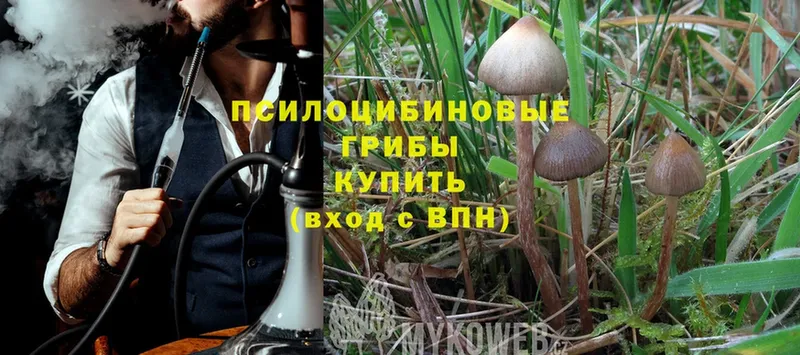 Галлюциногенные грибы Magic Shrooms  Анапа 