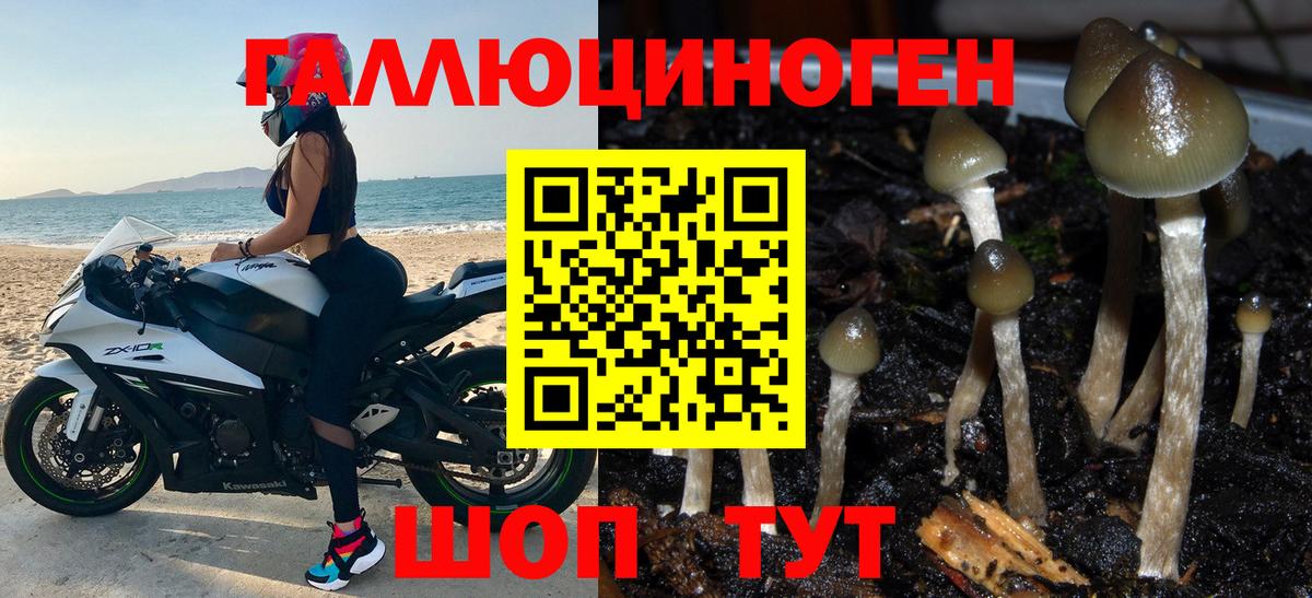 магазин  наркотиков  Анапа  Псилоцибиновые грибы Cubensis  Псилоцибиновые грибы Psilocybine cubensis 