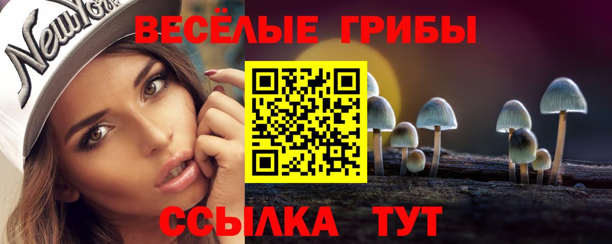 Галлюциногенные грибы Cubensis  Галлюциногенные грибы мицелий  продажа наркотиков  Анапа  Вход с VPN 