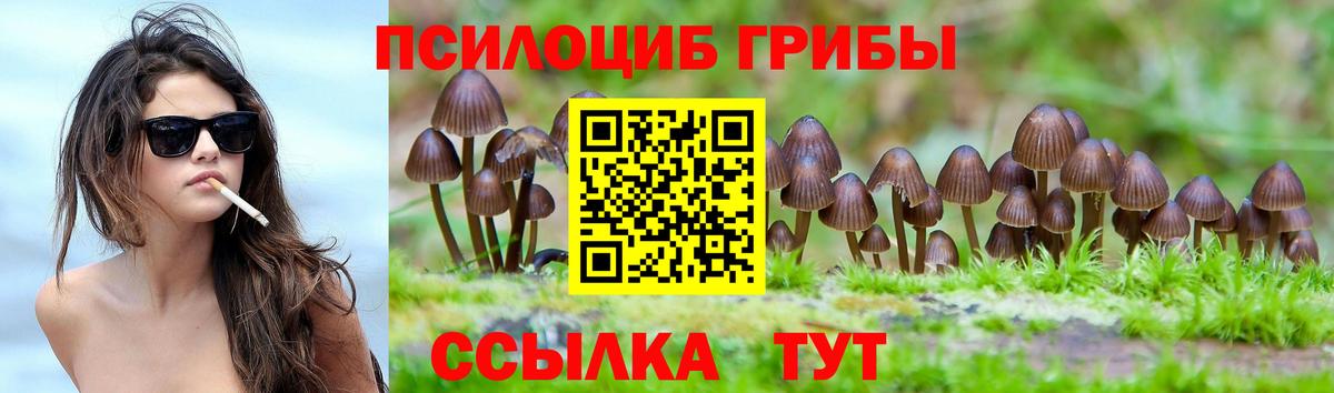 Галлюциногенные грибы Psilocybe Анапа